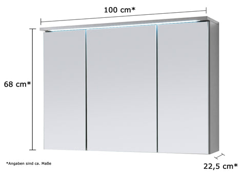 AILEENSTORE Spiegelschrank Badmöbel mit LED Beleuchtung DUO 100 cm B-WARE Grau